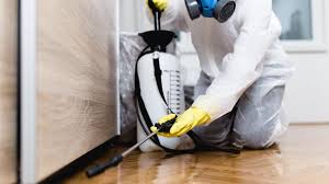 Best Real Estate Pest Inspections  in Summerside, OH